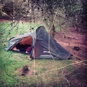 10313374_10152135717118733_5796290883556023658_n (2)