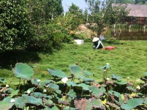 11150415_10152829290388733_4696938715450261997_n