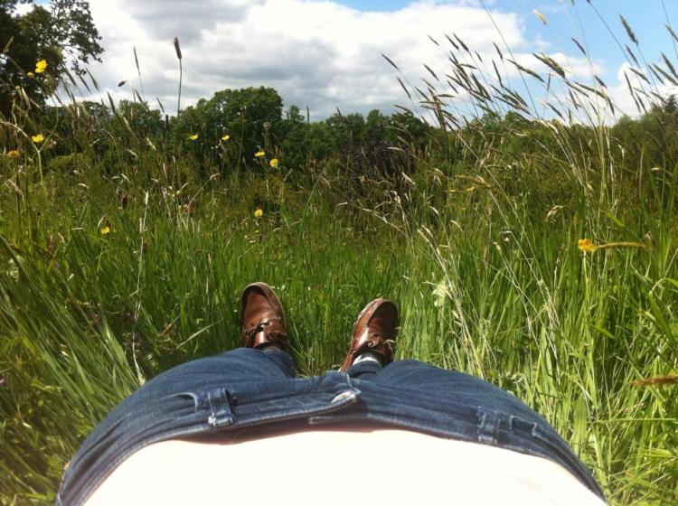 11111212_10152975130663733_2014312670743452743_n