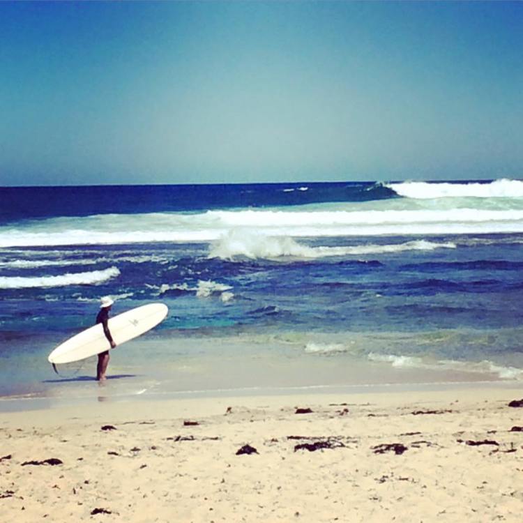 12805829_10153449707983733_7135994691781970533_n