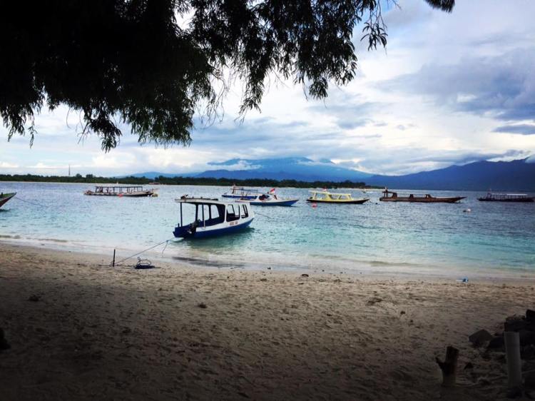 12794620_10153449710103733_1771557199895405191_n