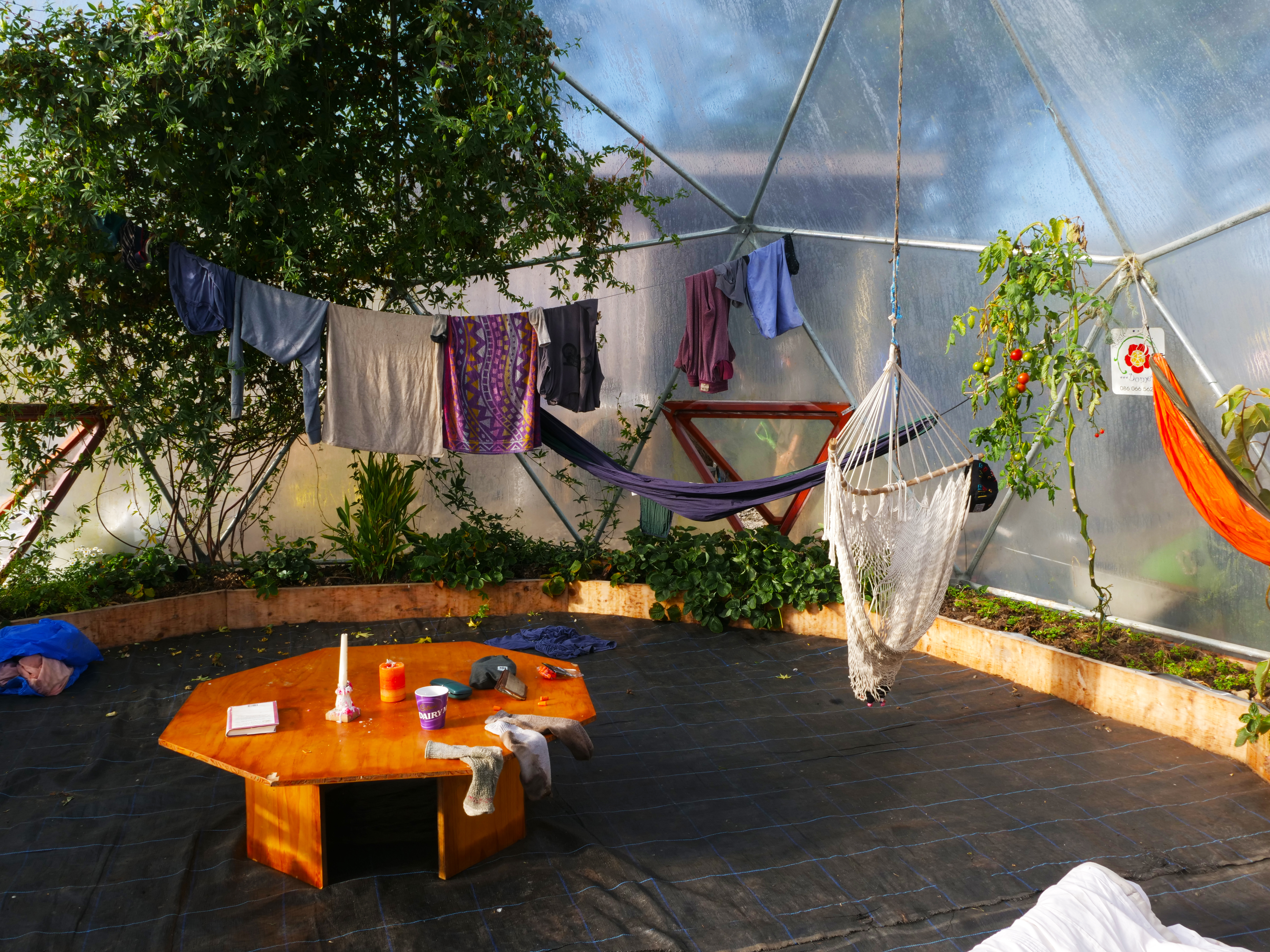 Dome2 - Orla O Muiri