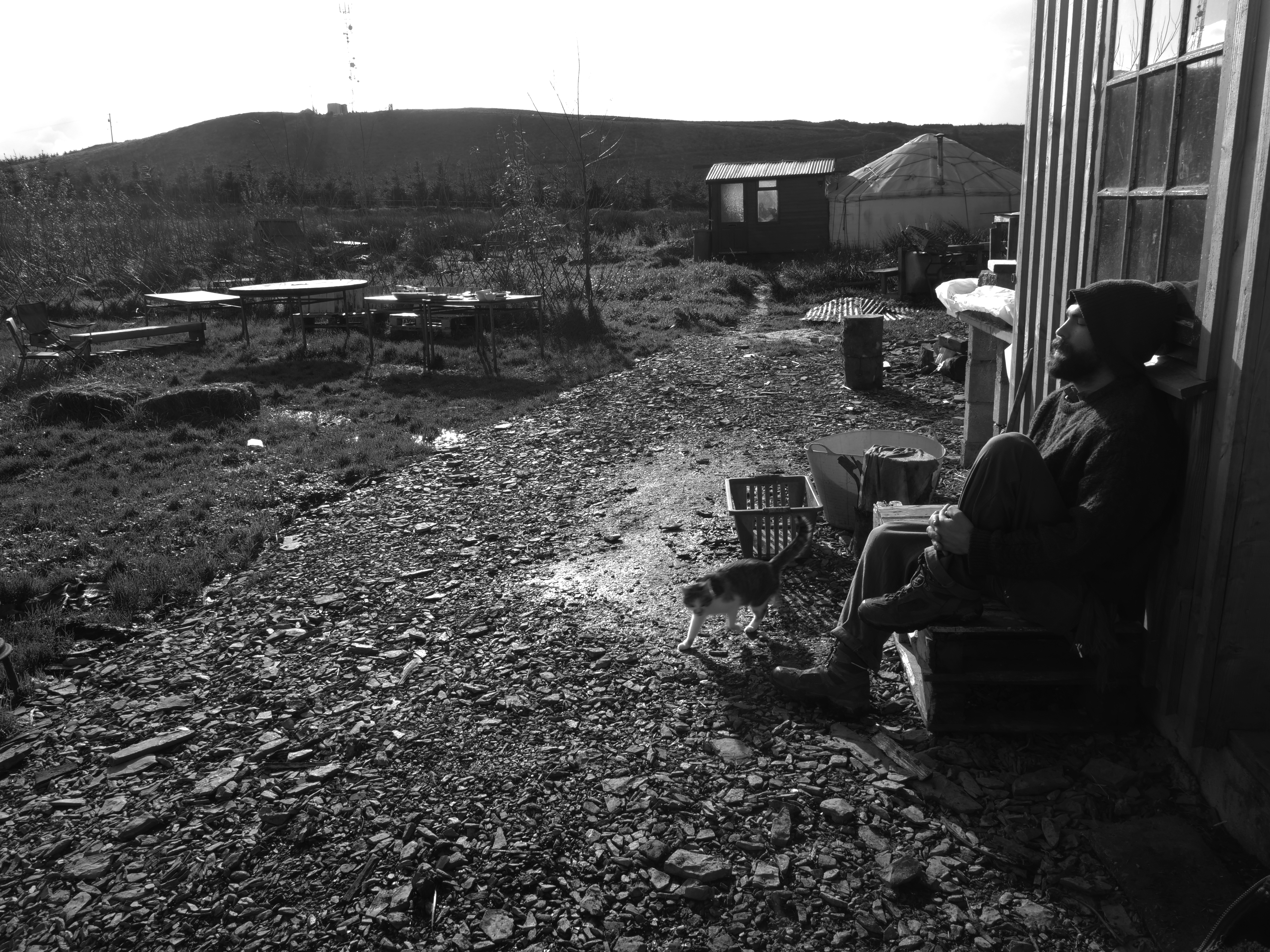 Moyhill - Orla O Muiri