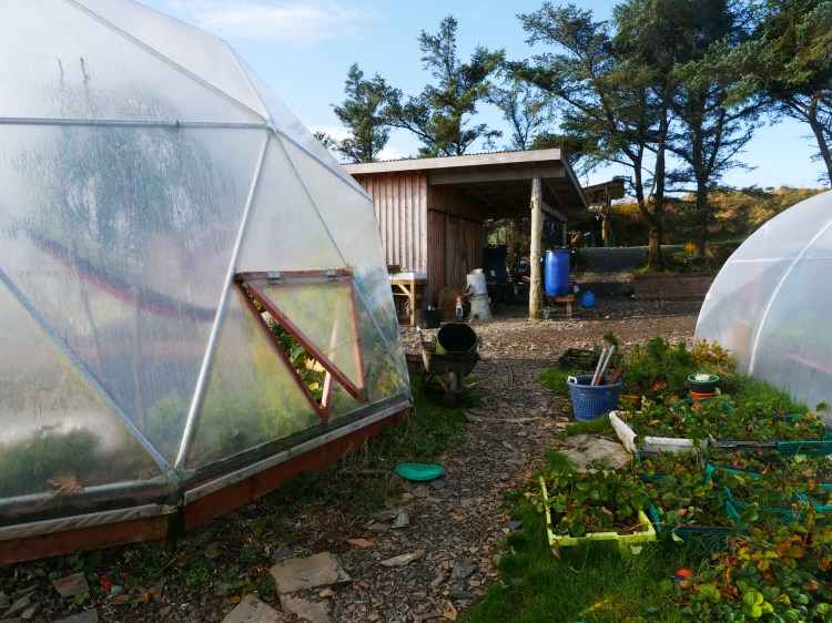 Moyhill2 - Orla O Muiri