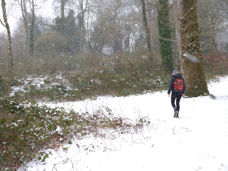 Caoilfhionn blizzard