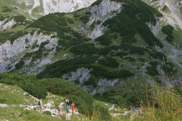 Ehrvald Orla O Muiri 7